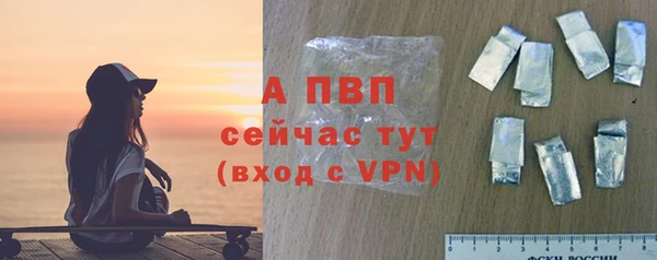 ECSTASY Михайловск